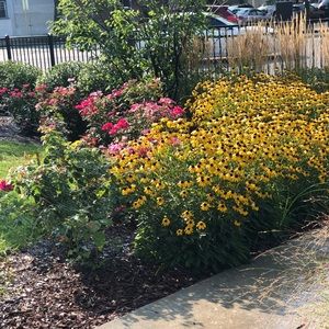 Meet your Posher, Fareah